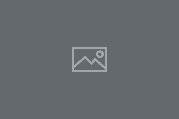 banner-image